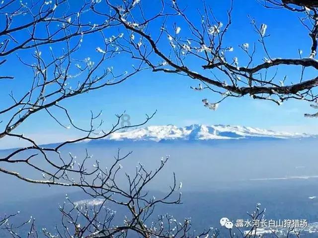 河南公布25批次不合格食品